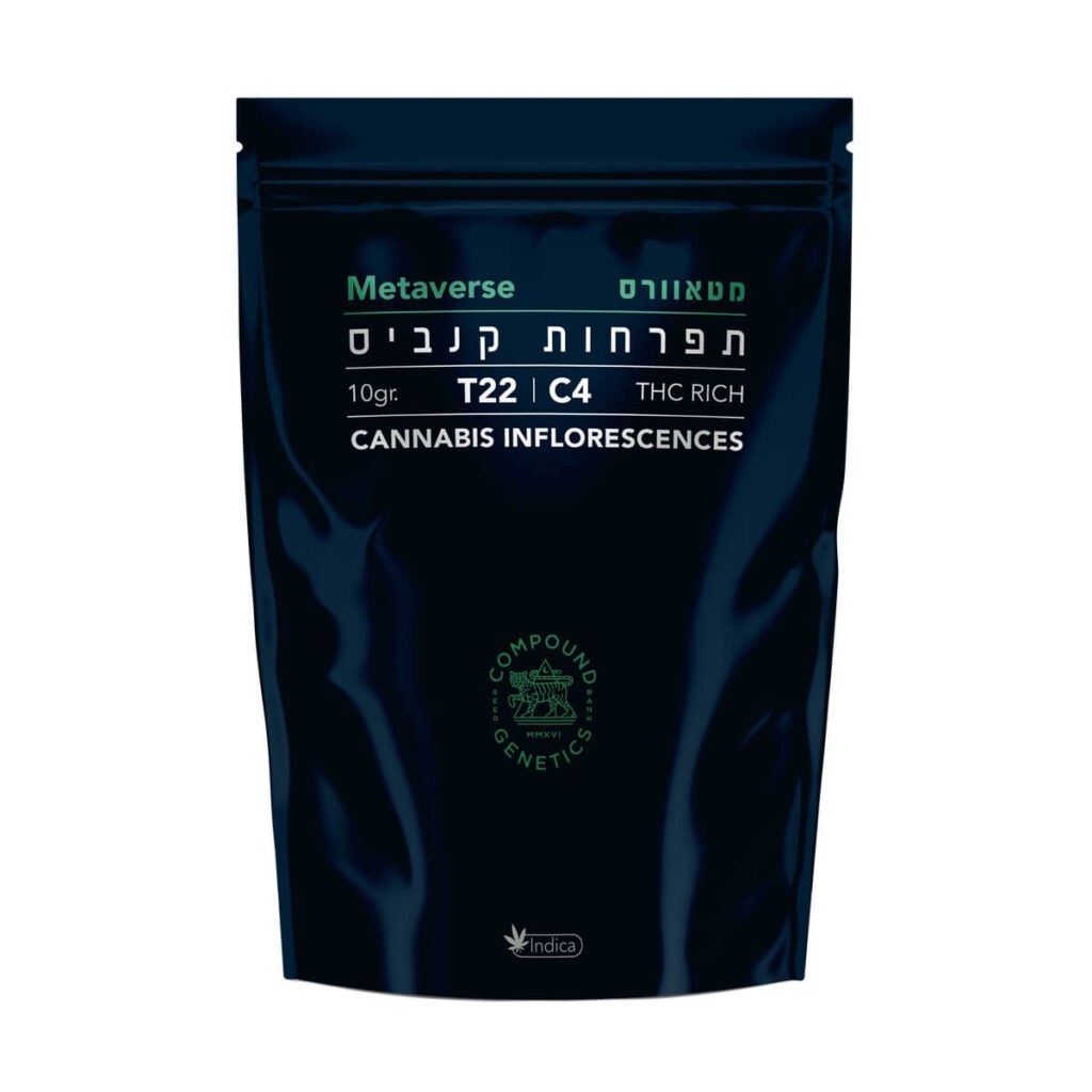 מטאוורס (Metaverse)