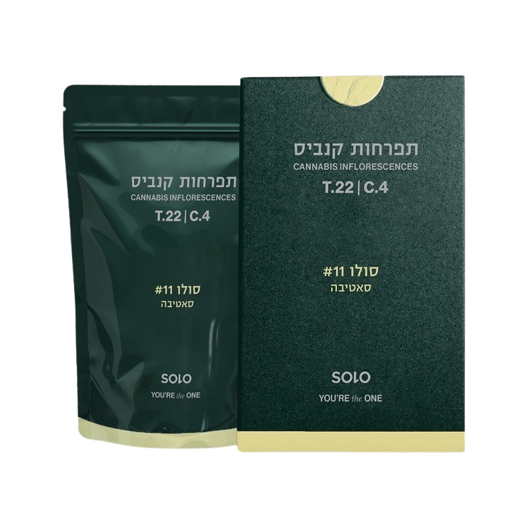 סולו #11 (Solo #11)
