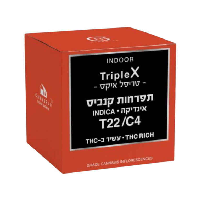 טריפל איקס מיני (Triple X Mini)