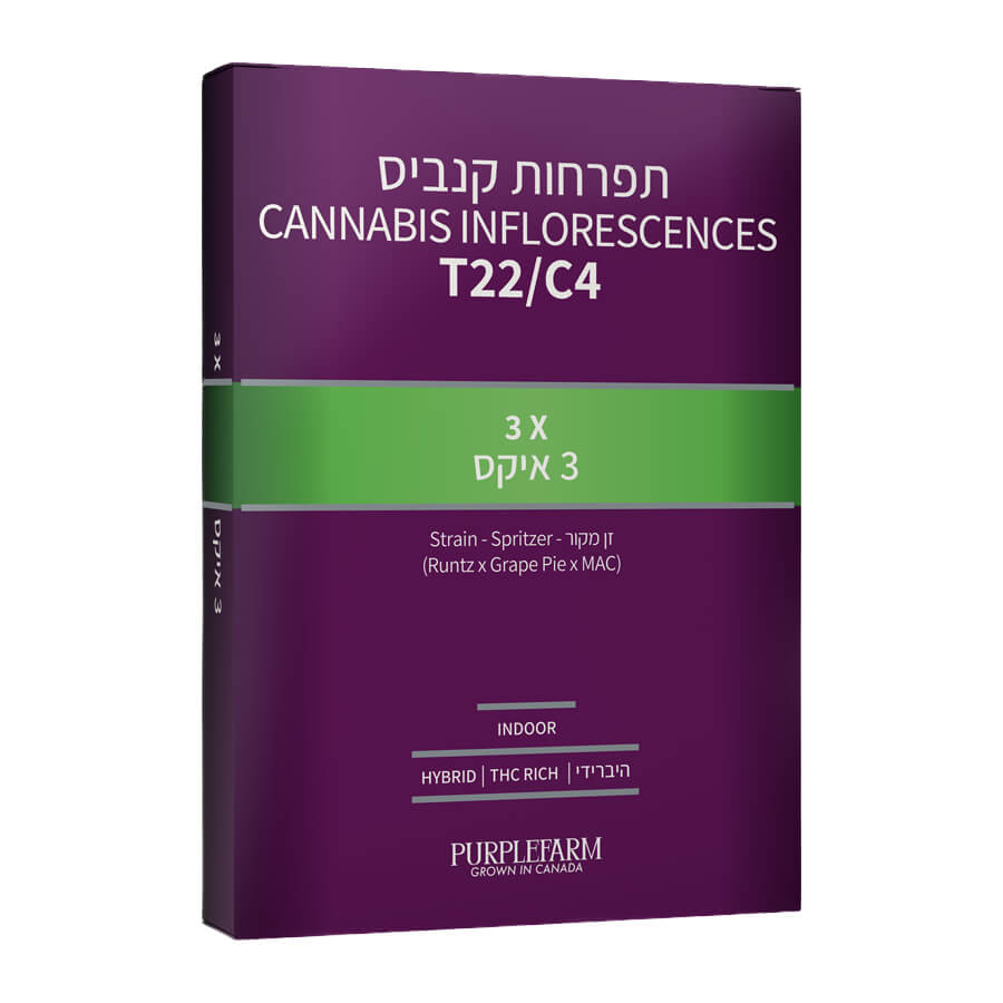 3X - תחליף לראנטז