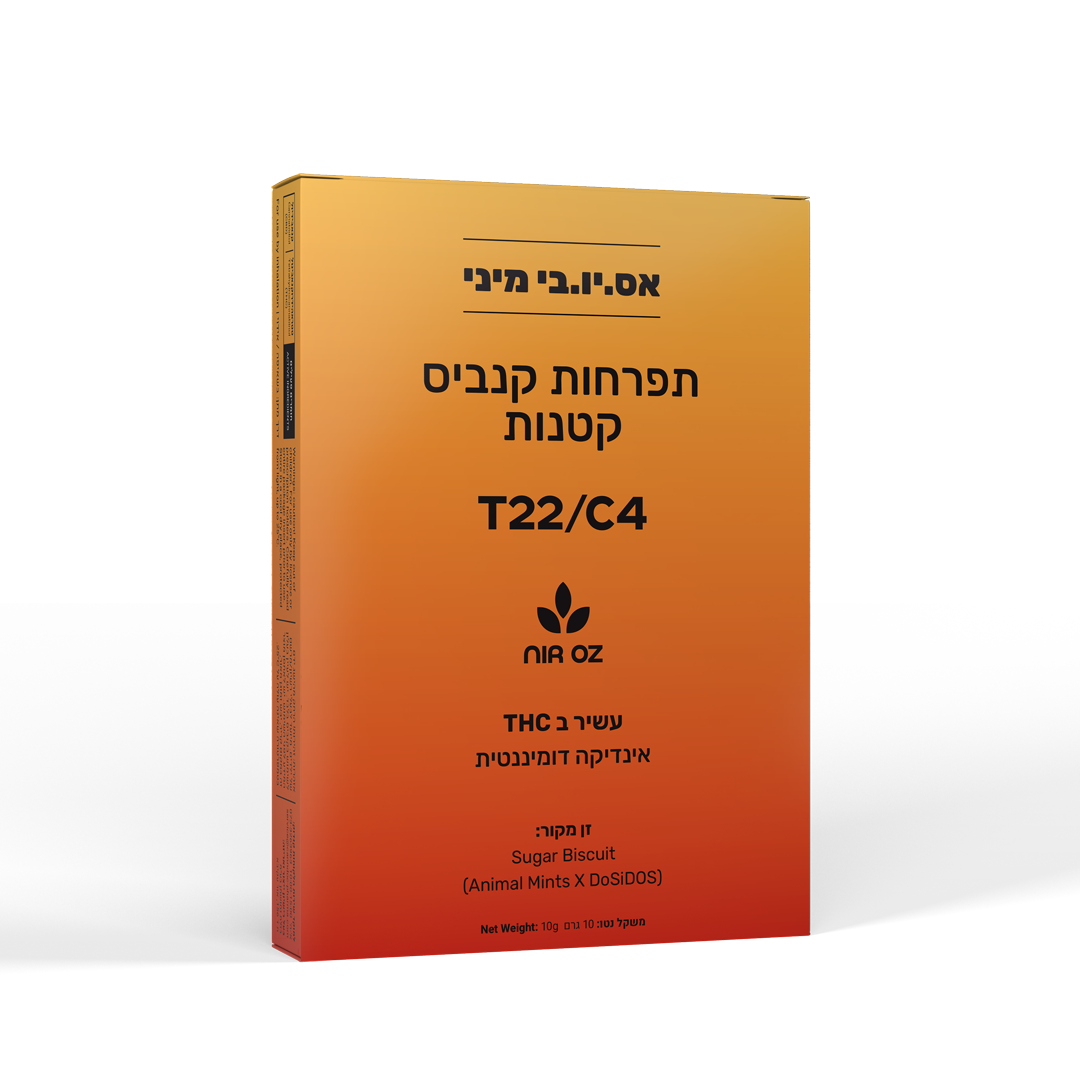 אס.יו.בי מיני (S.U.B Mini)