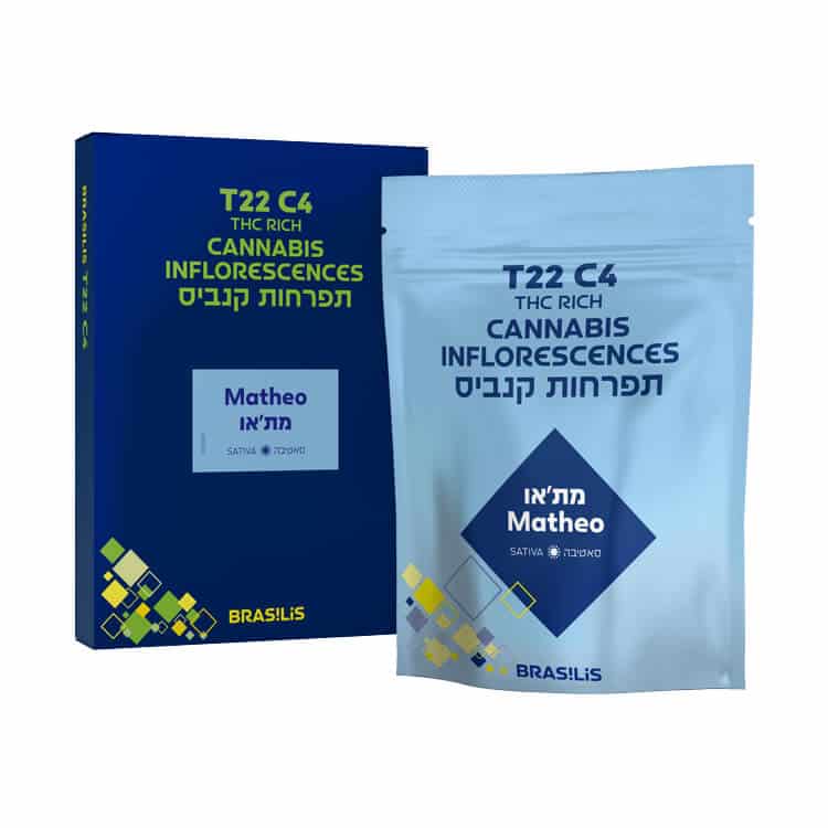 מתאו (Matheo)
