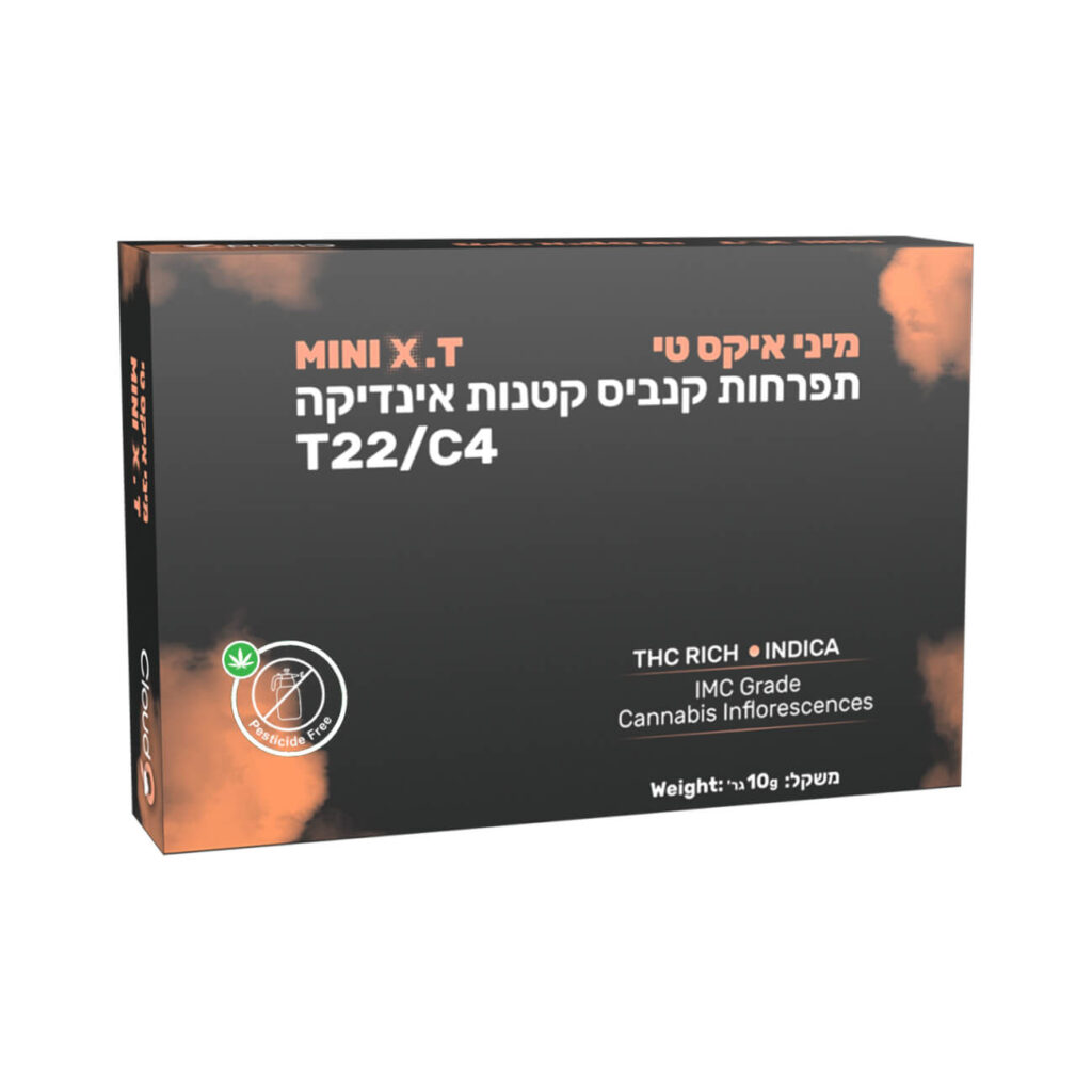 איקס טי מיני (X.T Mini)