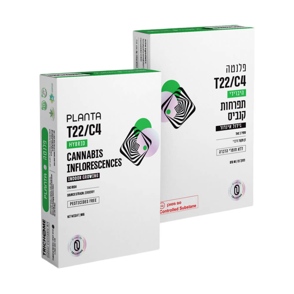 פלנטה (Planta)