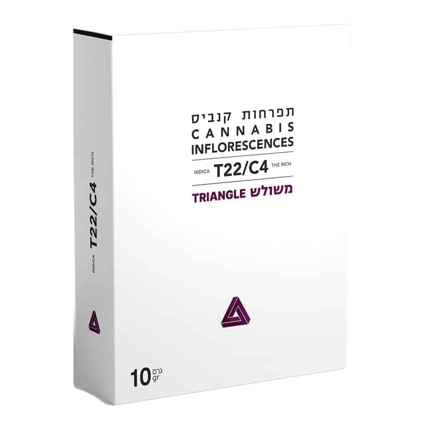 משולש (Triangle)
