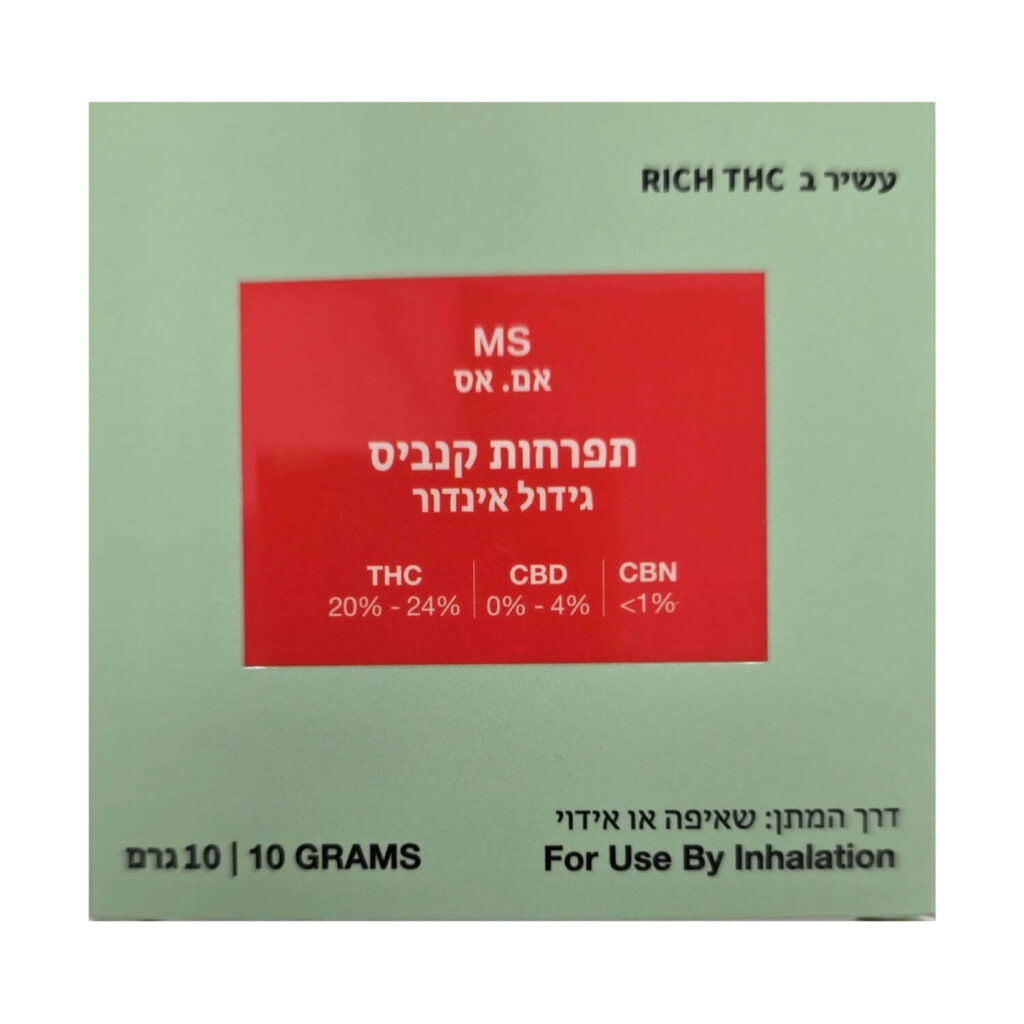 אם. אס (MS)