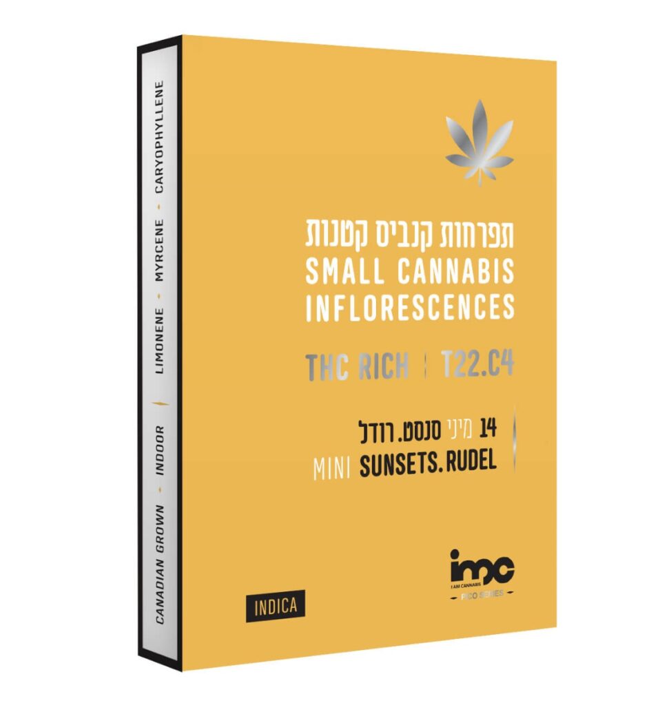 סנסט רודל מיני