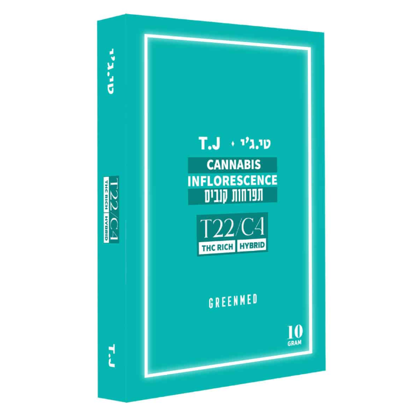 טי.ג'יי (T.J)