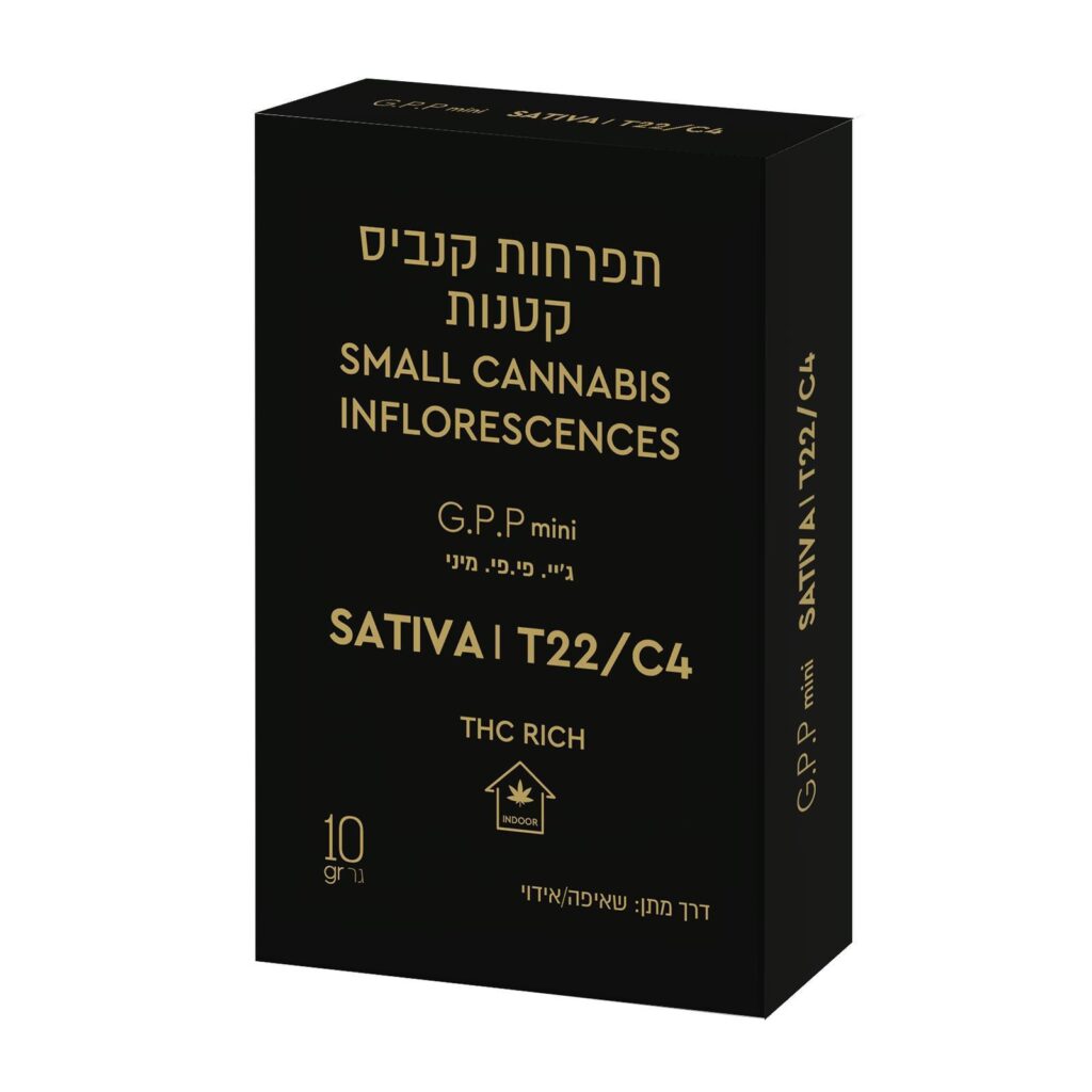 גיי.פי פי מיני (G.P.P Mini)