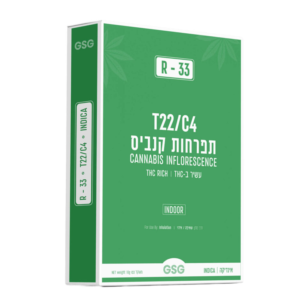 אר-33 (R-33)