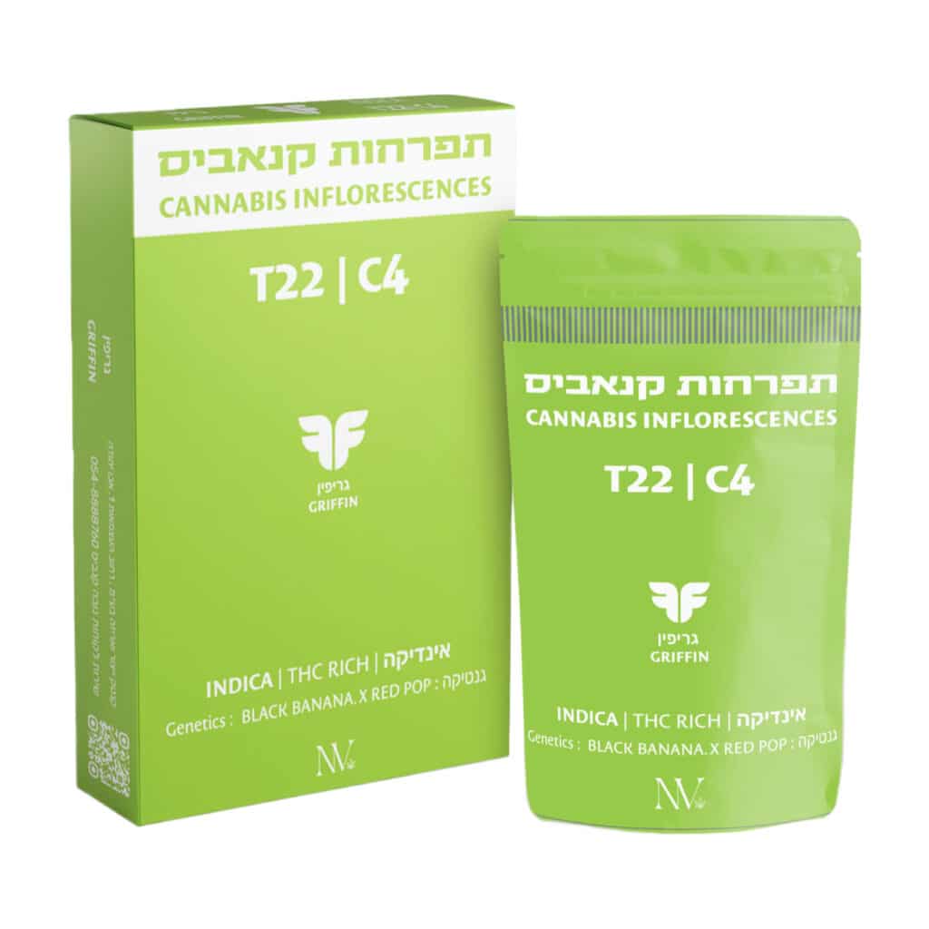 גריפין (Griffin)