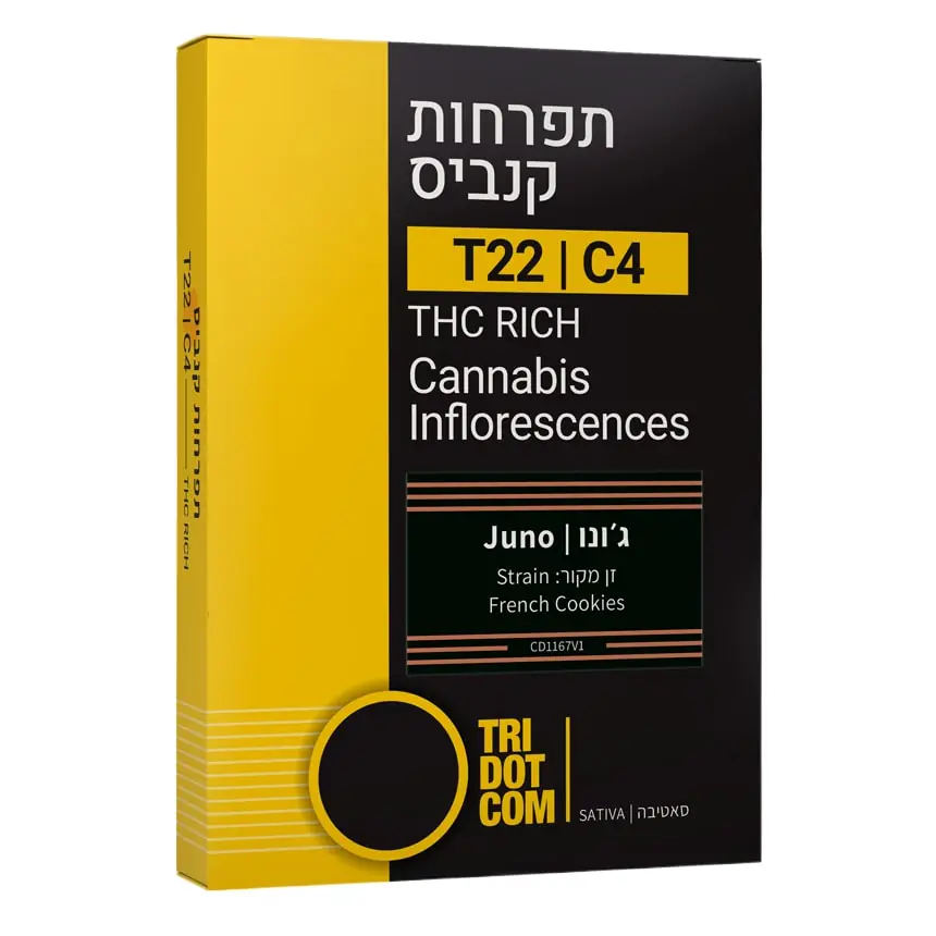 ג'ונו Juno סאטיבה T22/C4